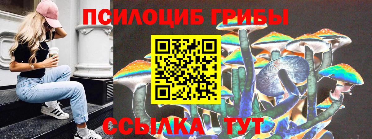 Псилоцибиновые грибы мицелий  Вход с VPN  Псилоцибиновые грибы GOLDEN TEACHER  купить наркотики цена  Казань 